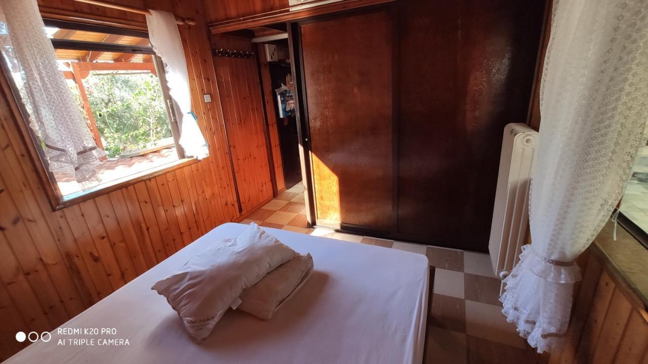 Apartament Panorama Erétria Zewnętrze zdjęcie