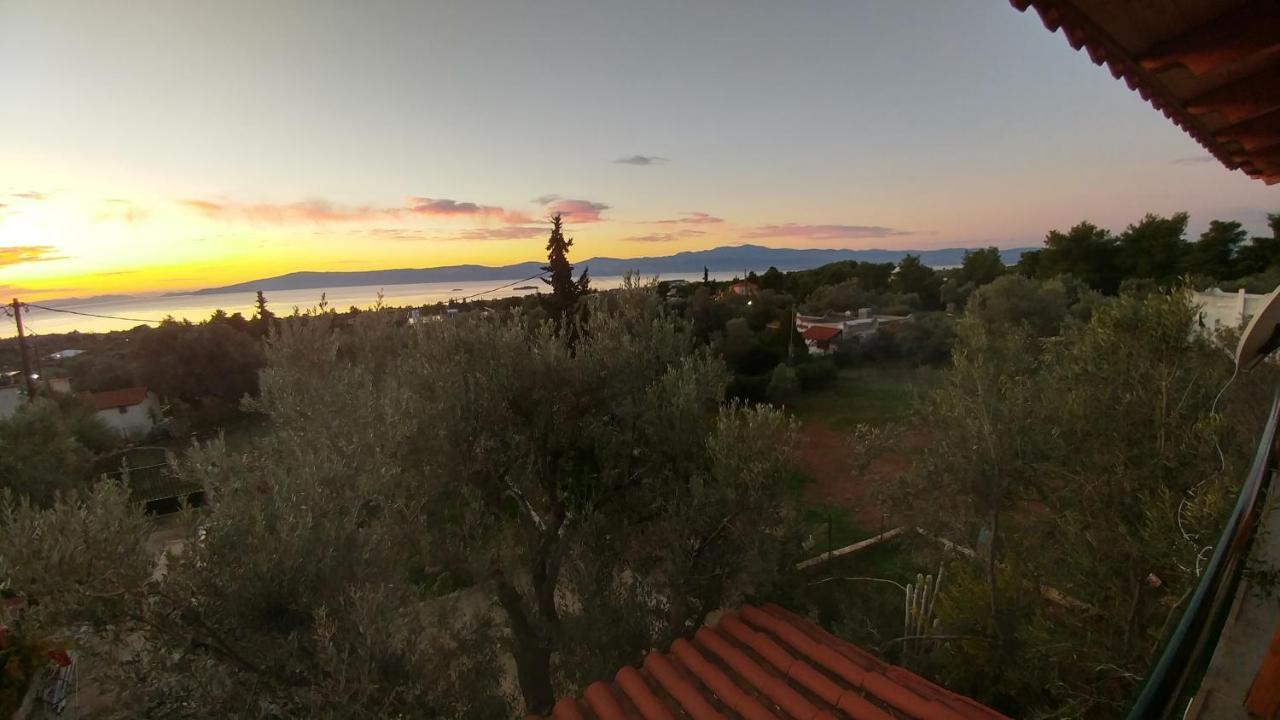 Apartament Panorama Erétria Zewnętrze zdjęcie