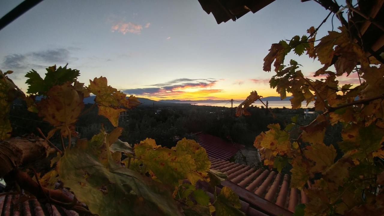 Apartament Panorama Erétria Zewnętrze zdjęcie